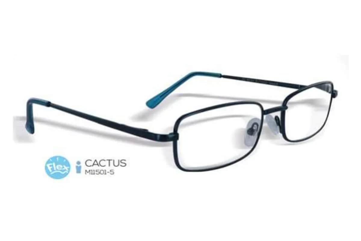 Loupe Cactus Métallique cerclé +2,5