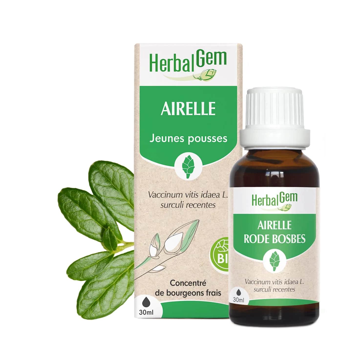 Macérat Airelle BIO 30ml