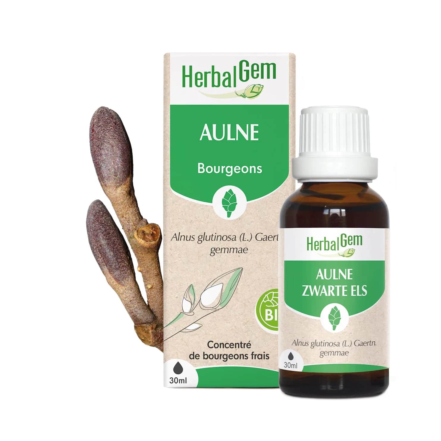 Macérat Aulne BIO 30ml