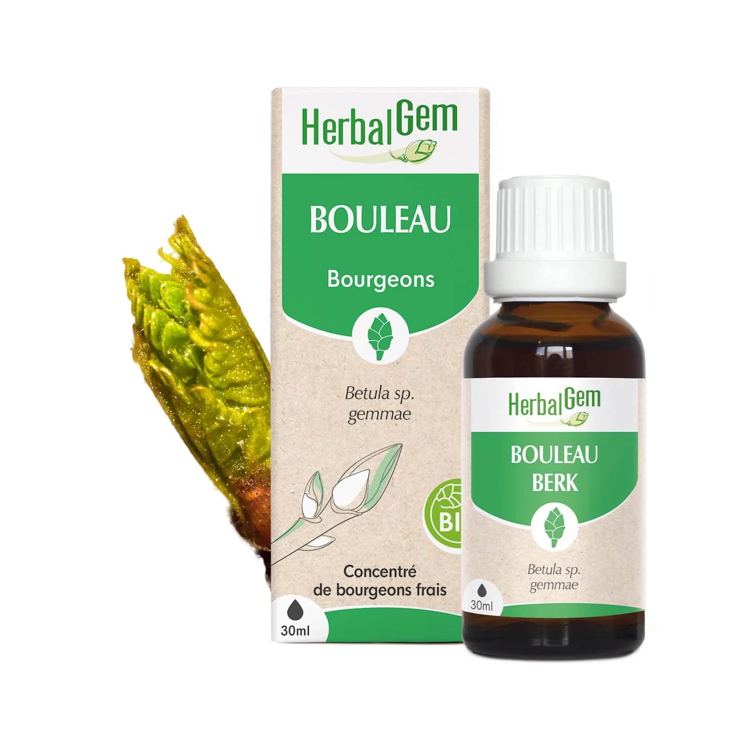 Macérat Bouleau BIO 30ml