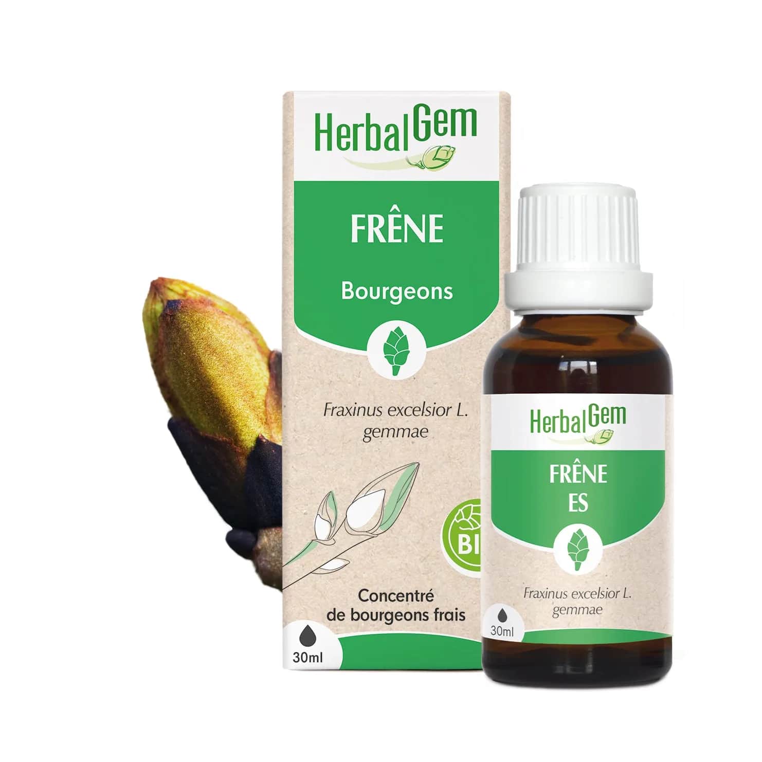 Macérat Frêne BIO 30ml