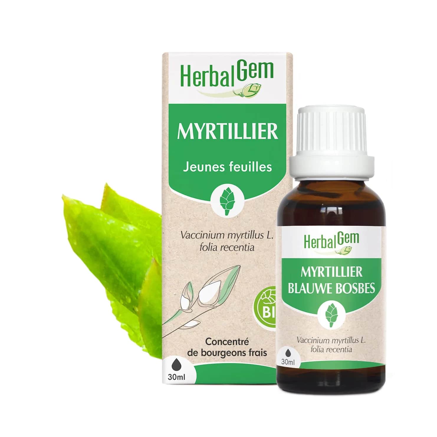 Macérat Myrtillier BIO 30ml