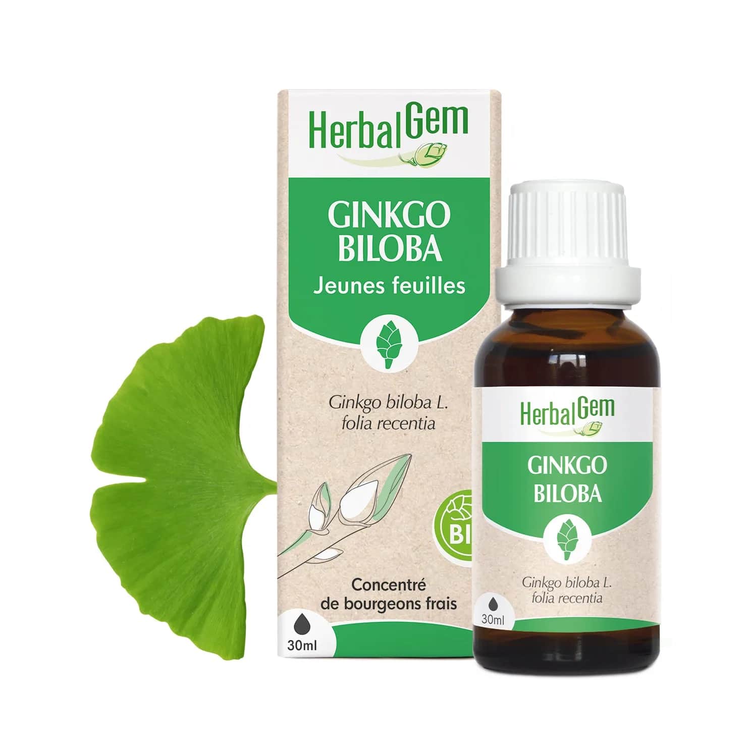 Macérat Ginkgo Biloba BIO 30ml