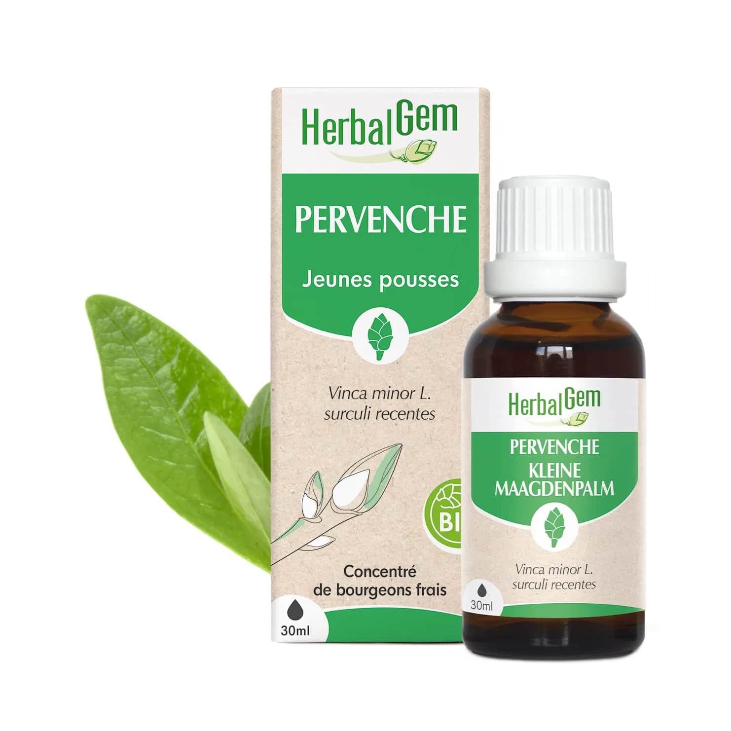 Macérat Pervenche BIO 30ml