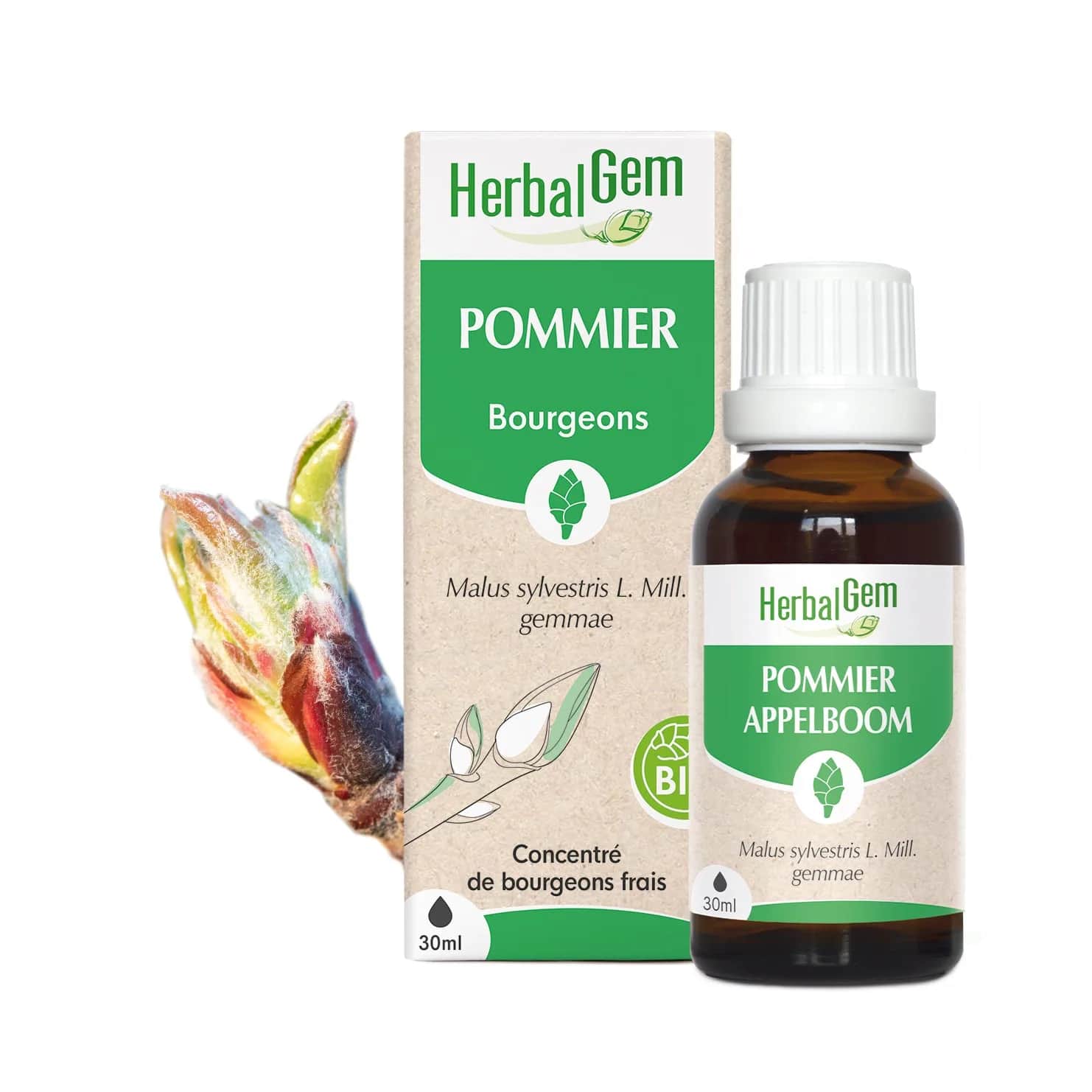 Macérat Pommier BIO 30ml