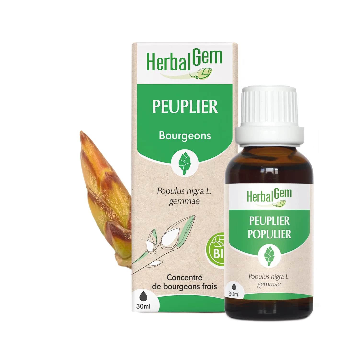 Macérat Peuplier BIO 30ml
