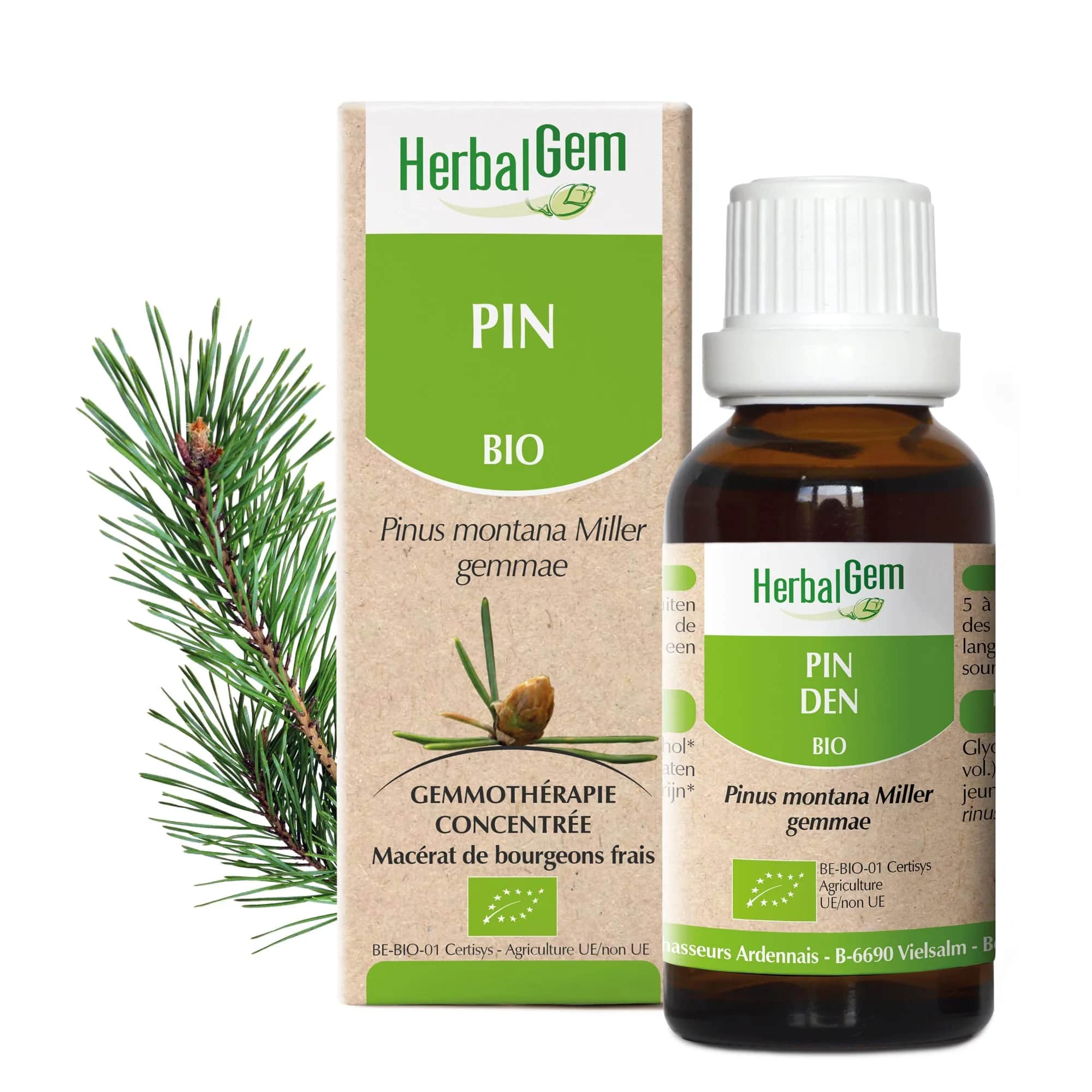 Macérat Pin des Montagnes BIO 30ml