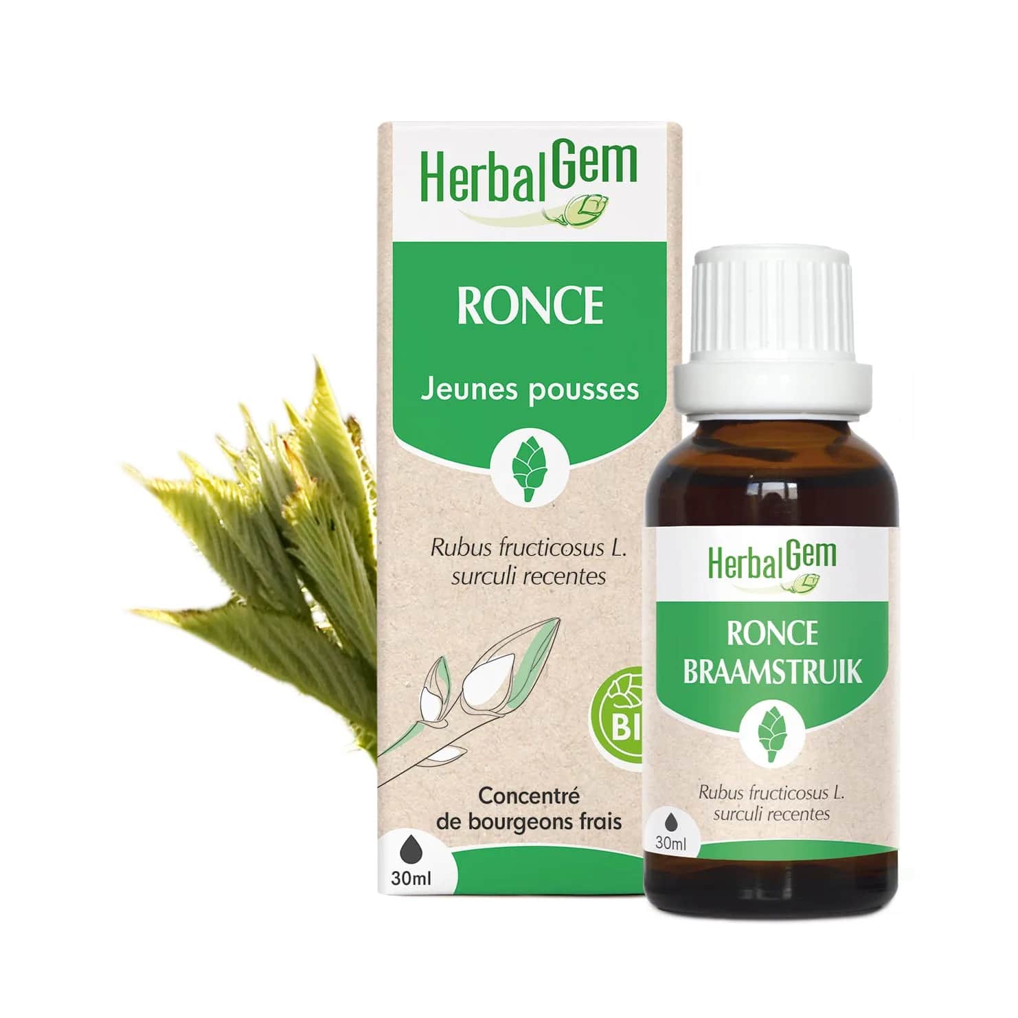 Macérat Ronce BIO 30ml