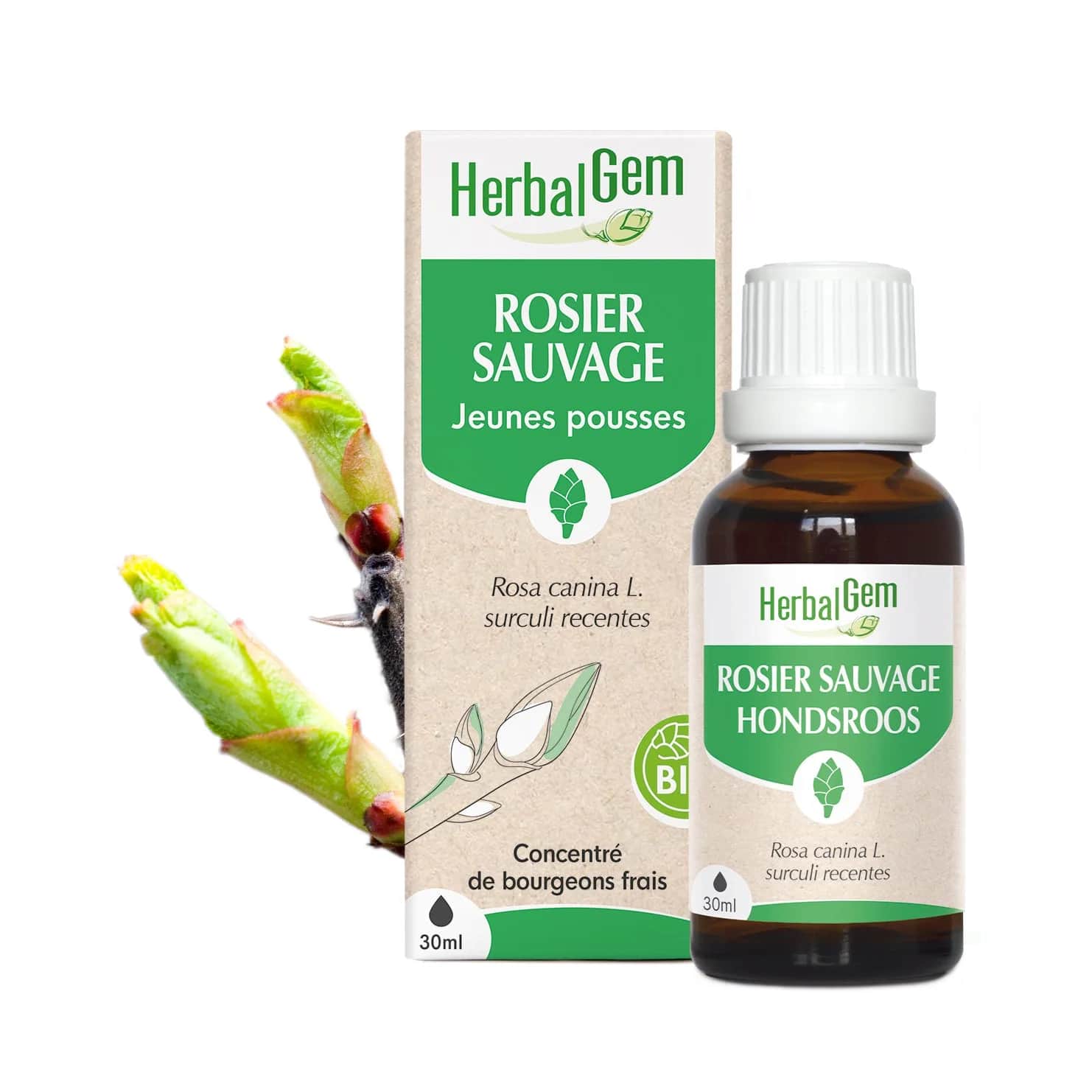 Macérat Rosier Sauvage BIO 30ml