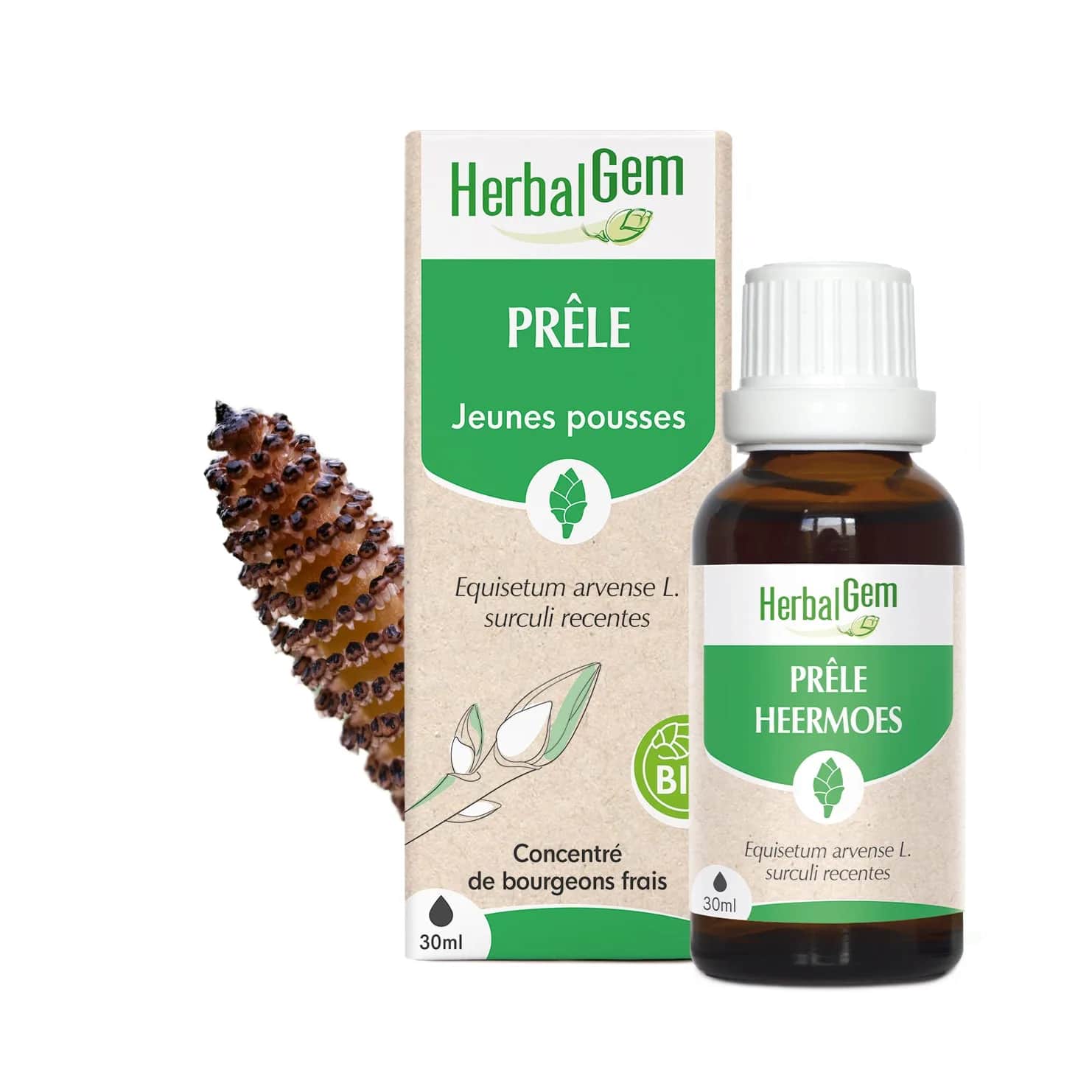 Macérat Prêle BIO 30ml