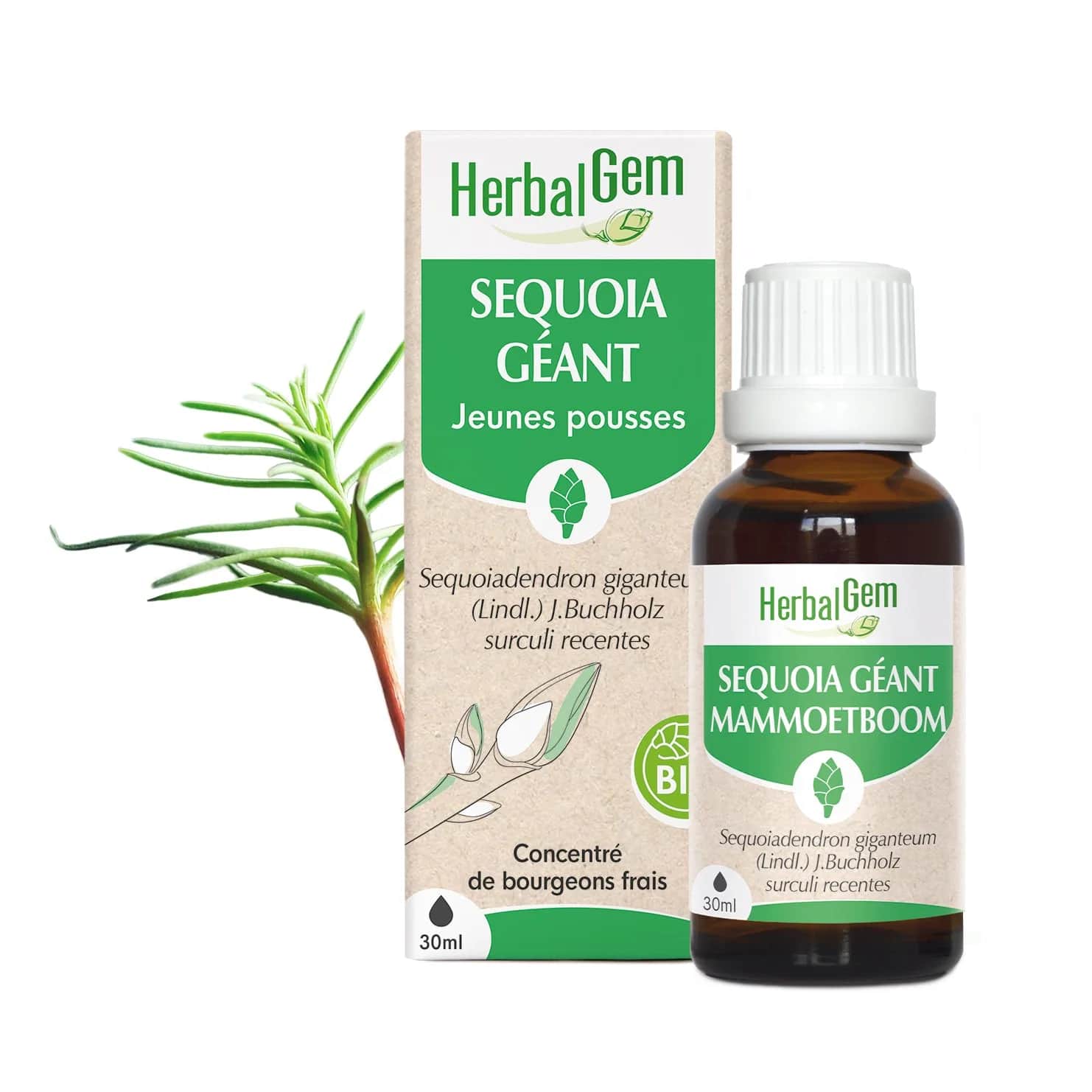 Macérat Sequoia 30ml