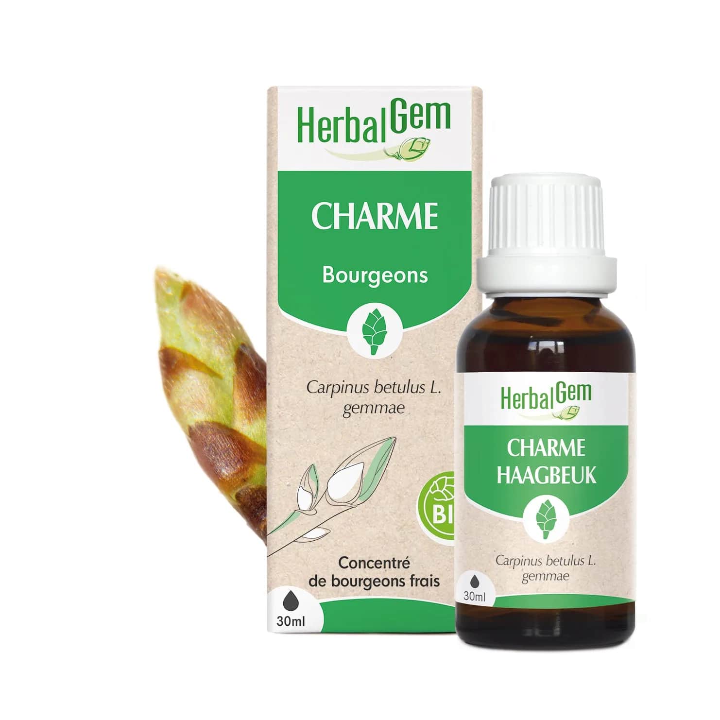 Macérat Charme BIO 30ml