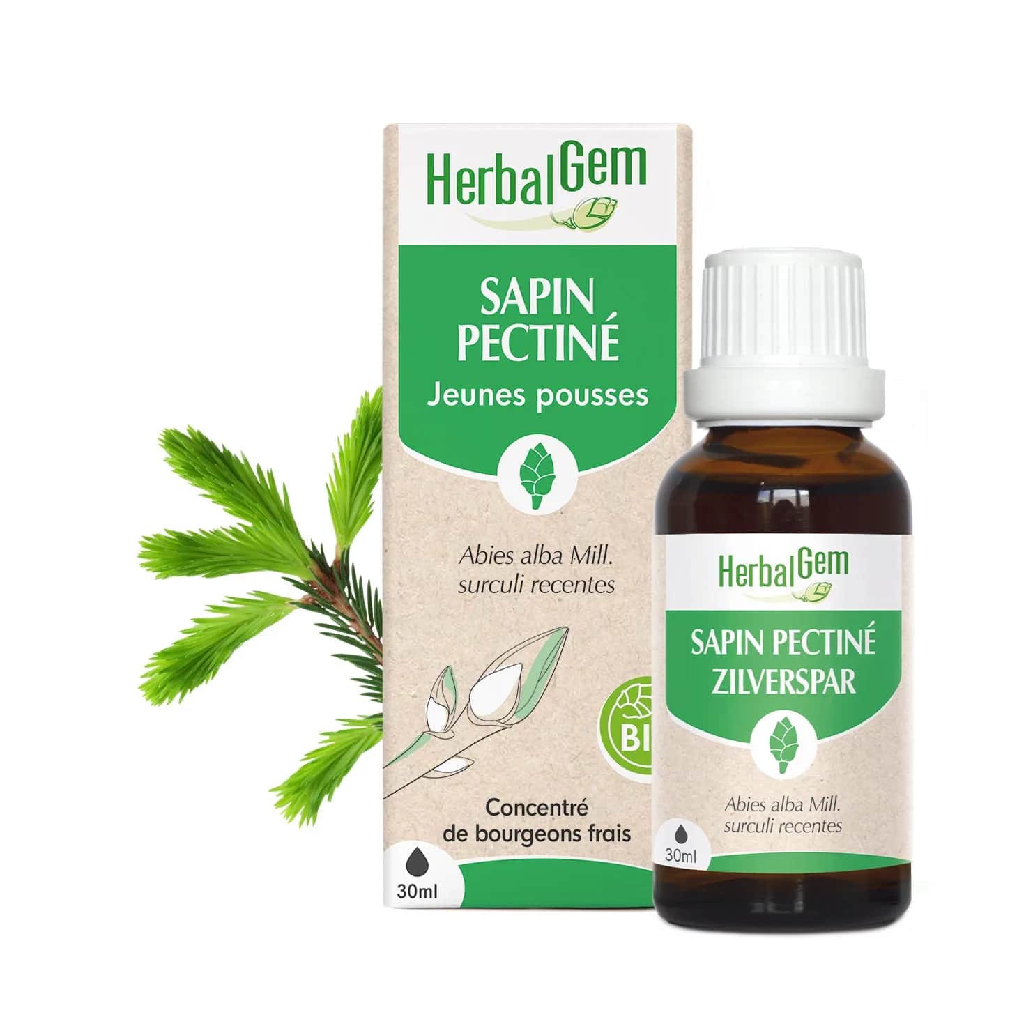 Macérat Sapin Pectiné BIO 30ml