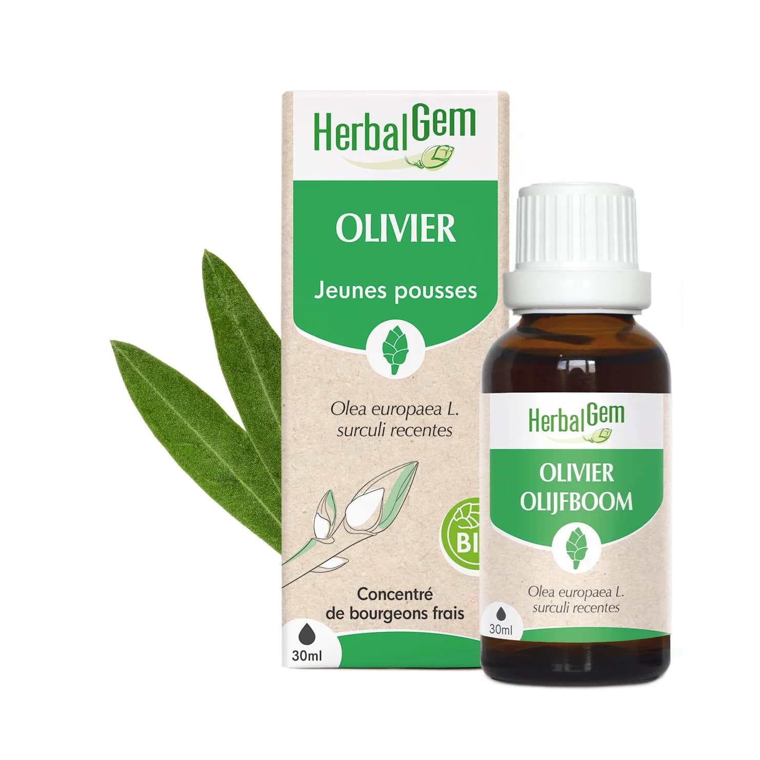 Macérat Olivier BIO 30ml