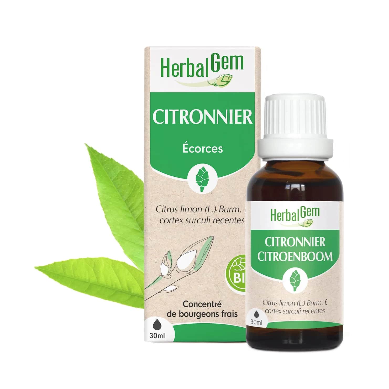 Macérat Citronnier BIO 15ml