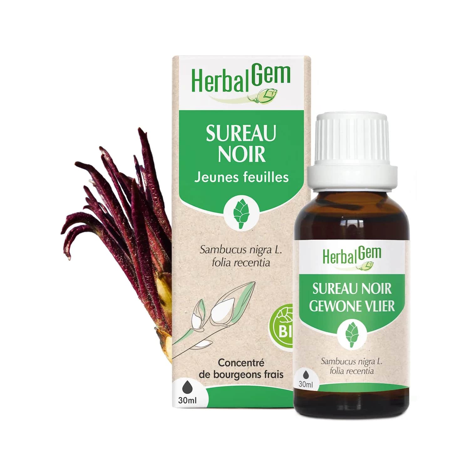 Macérat Sureau Noir BIO 15ml