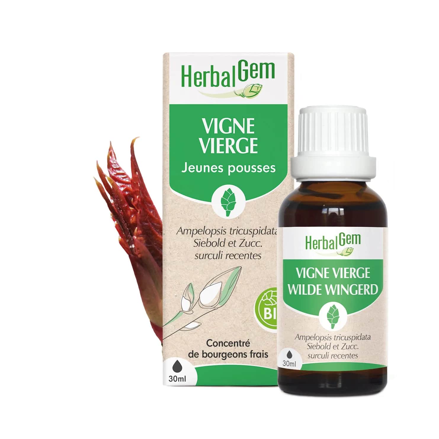 Macérat Vigne Vierge BIO 15ml