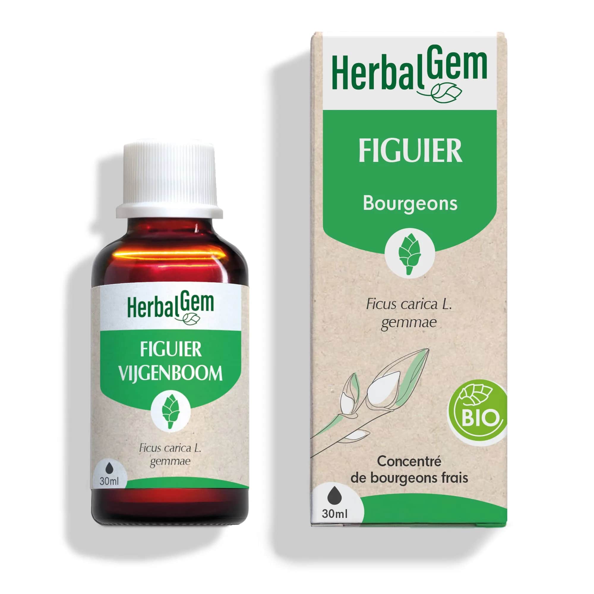 Macérat Figuier BIO 30ml