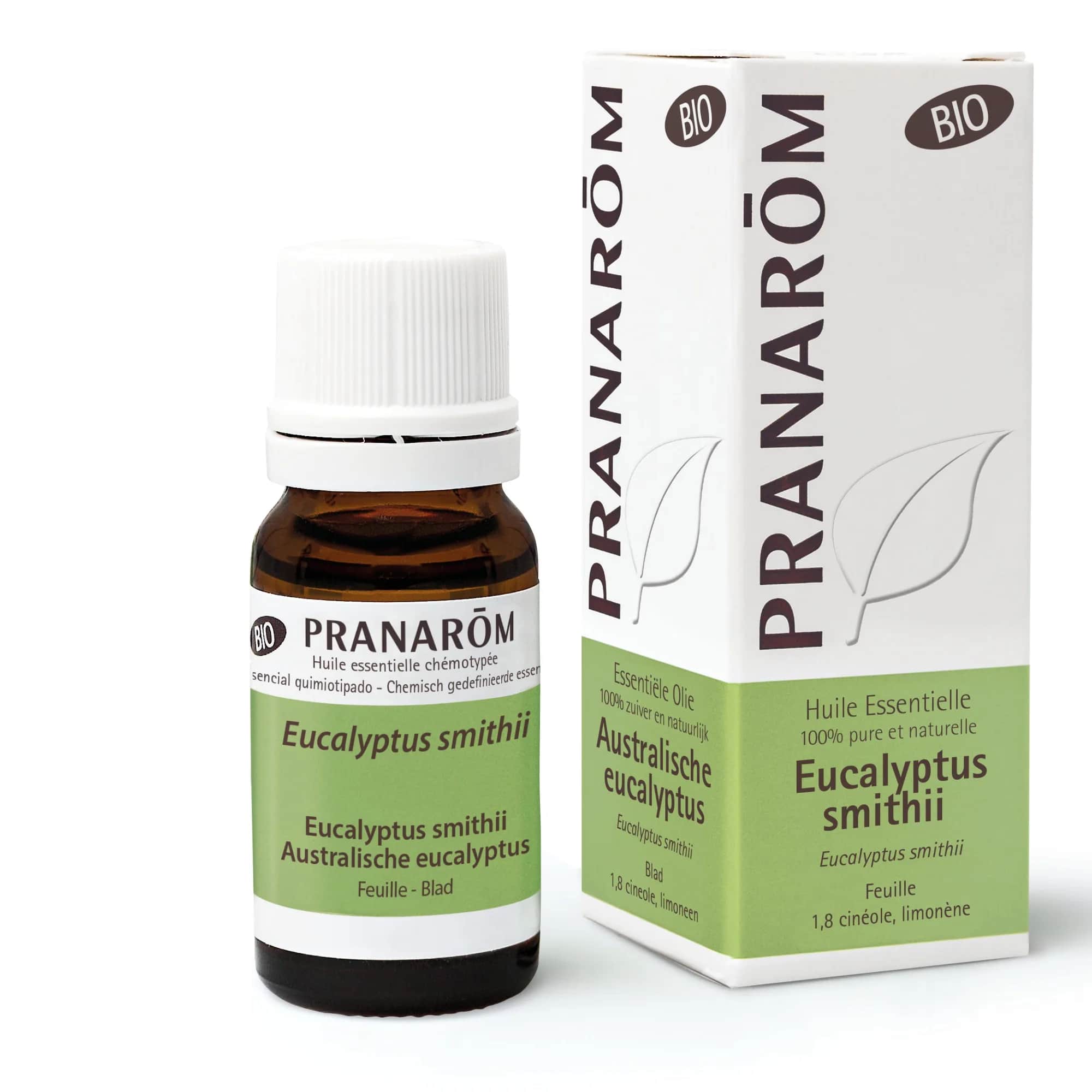 HE Eucalyptus Smithii Feuille BIO 10ml