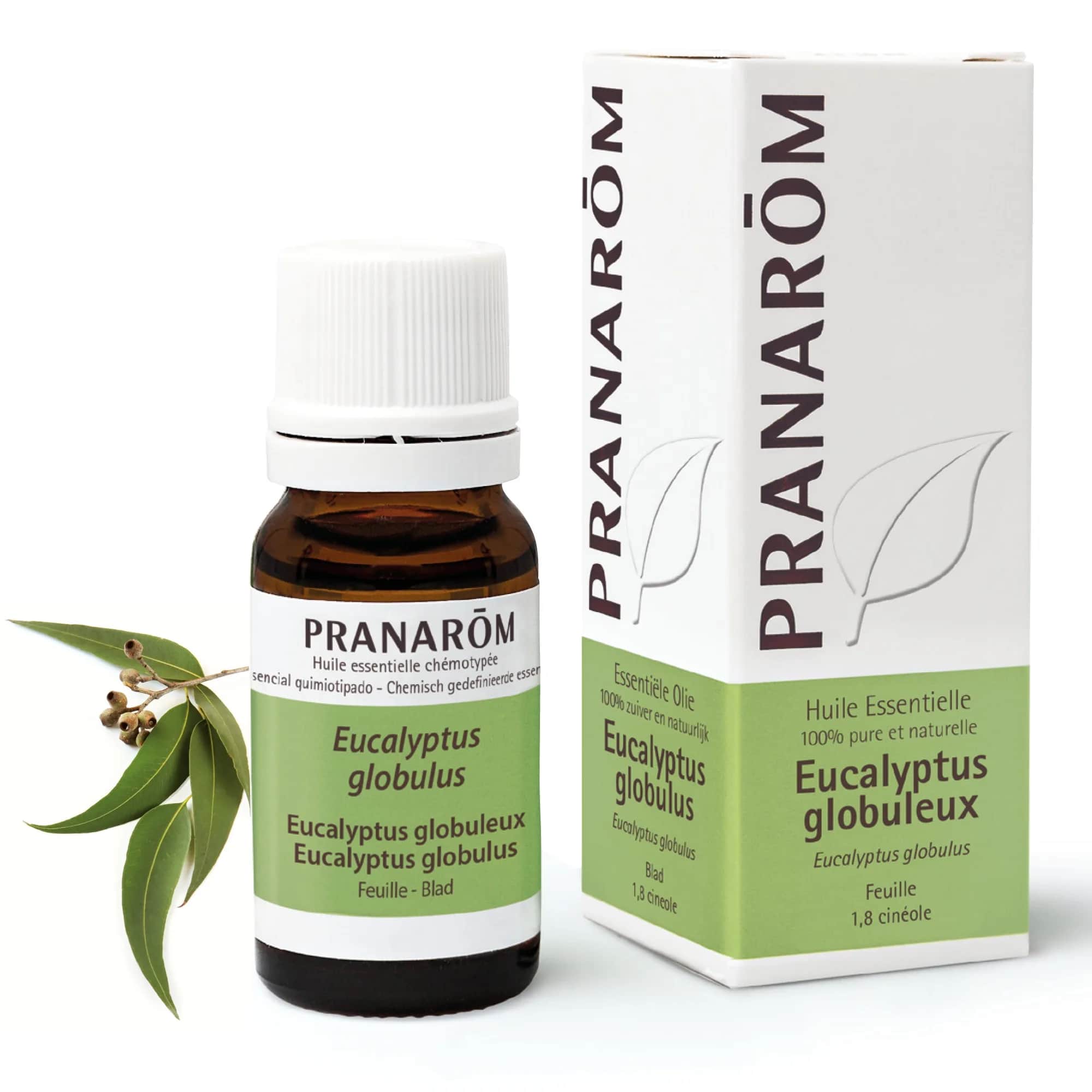 HE Eucalyptus Globuleux Feuille BIO 10ml