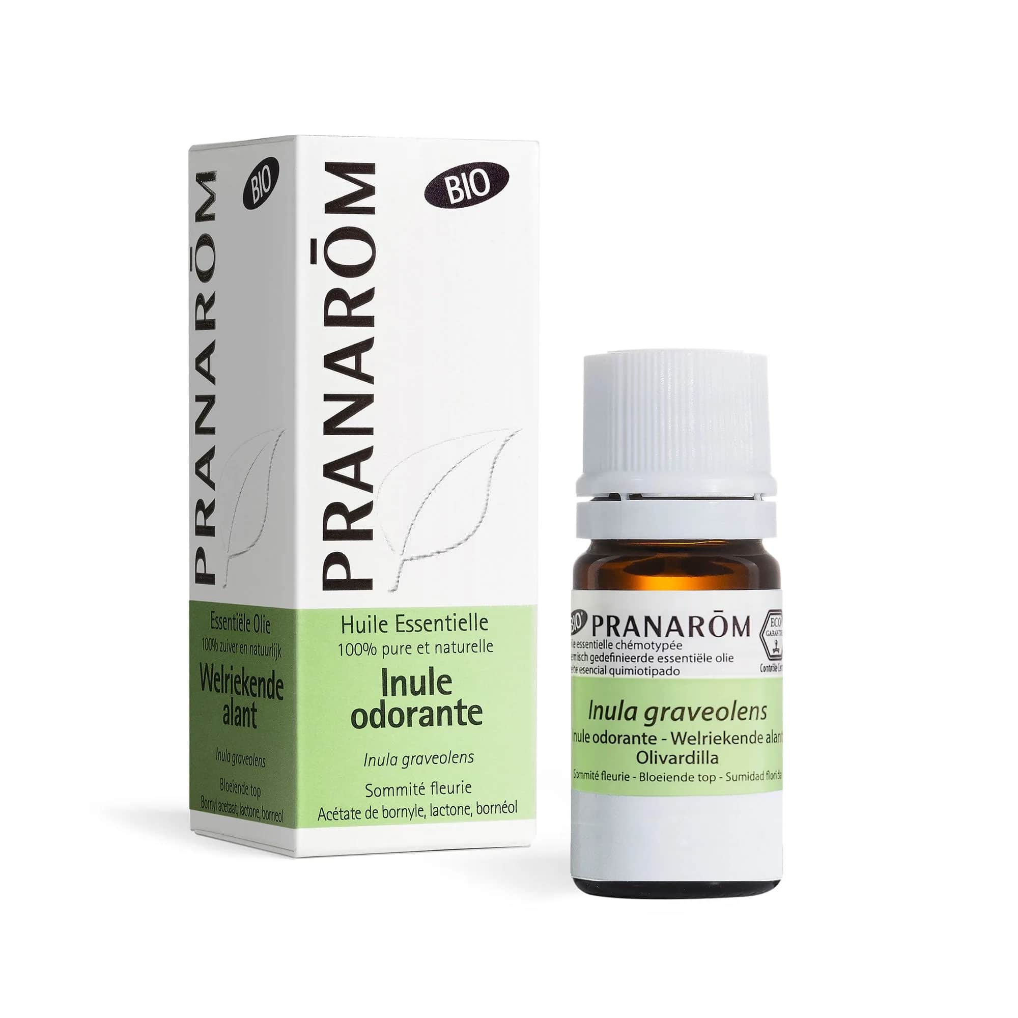HE Inule Odorante Sommité Fleurie BIO 5ml