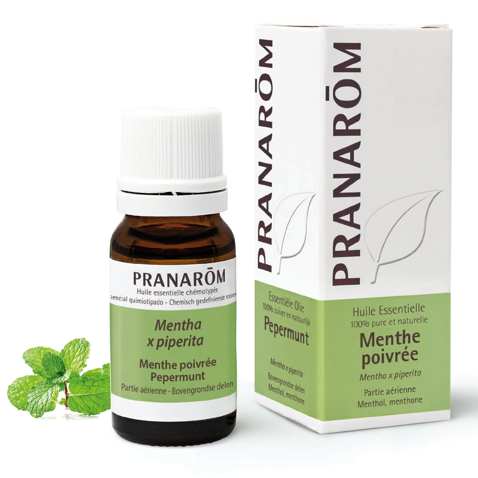 HE Menthe Poivrée Partie Aérienne BIO 10ml