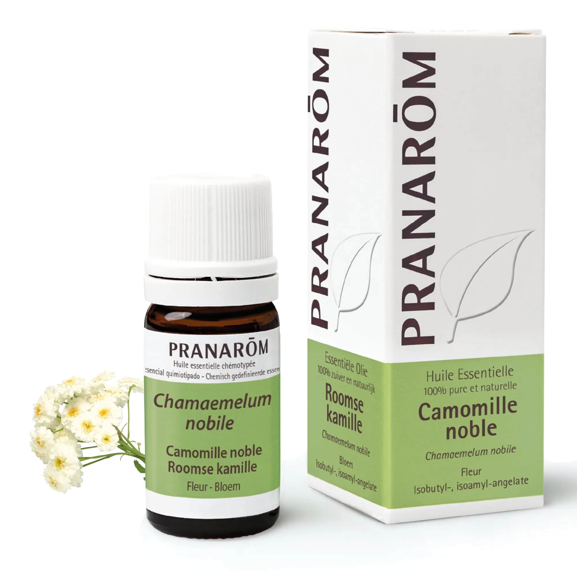 HE Camomille Noble Fleur 5ml