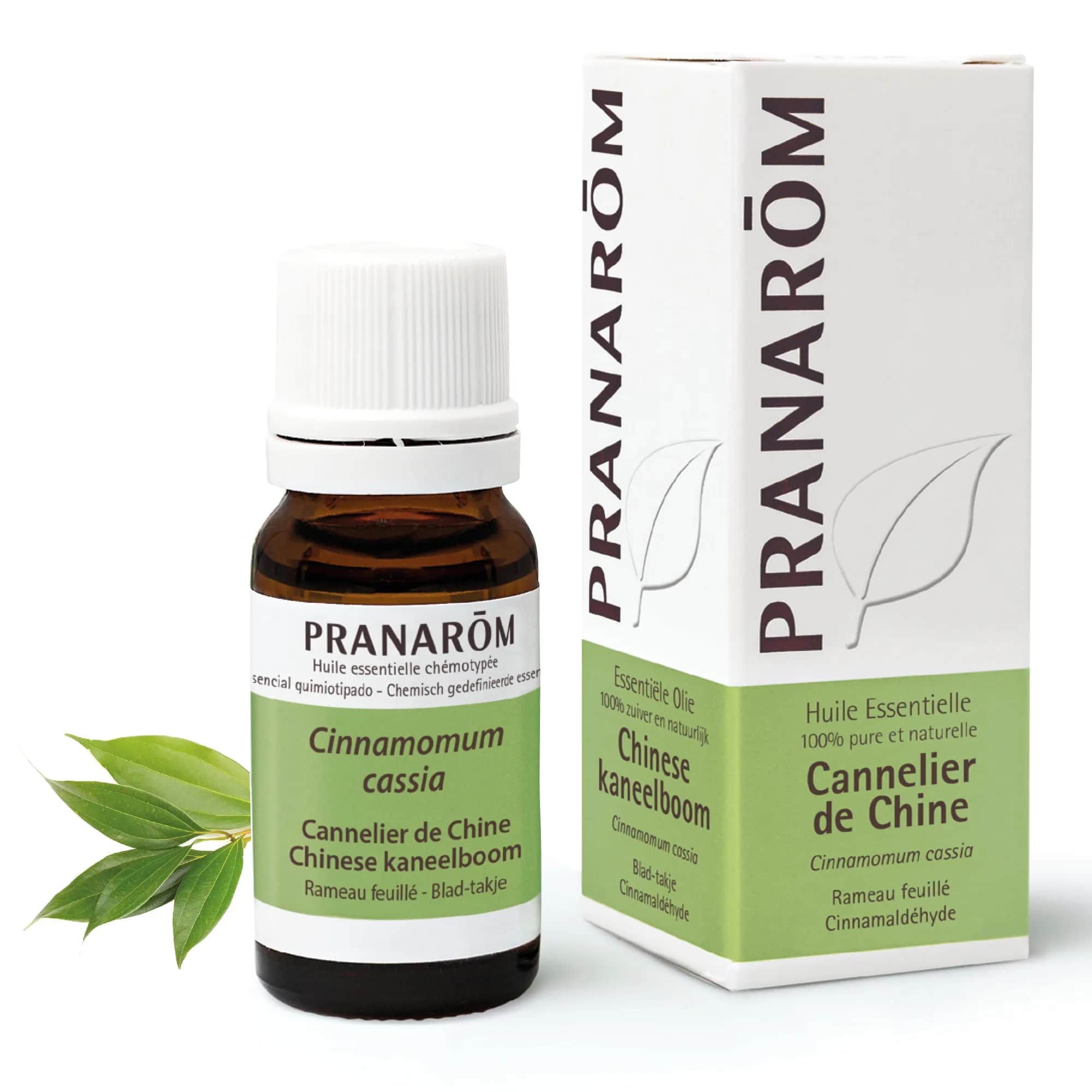 HE Cannelier de Chine Rameau Feuille 10ml
