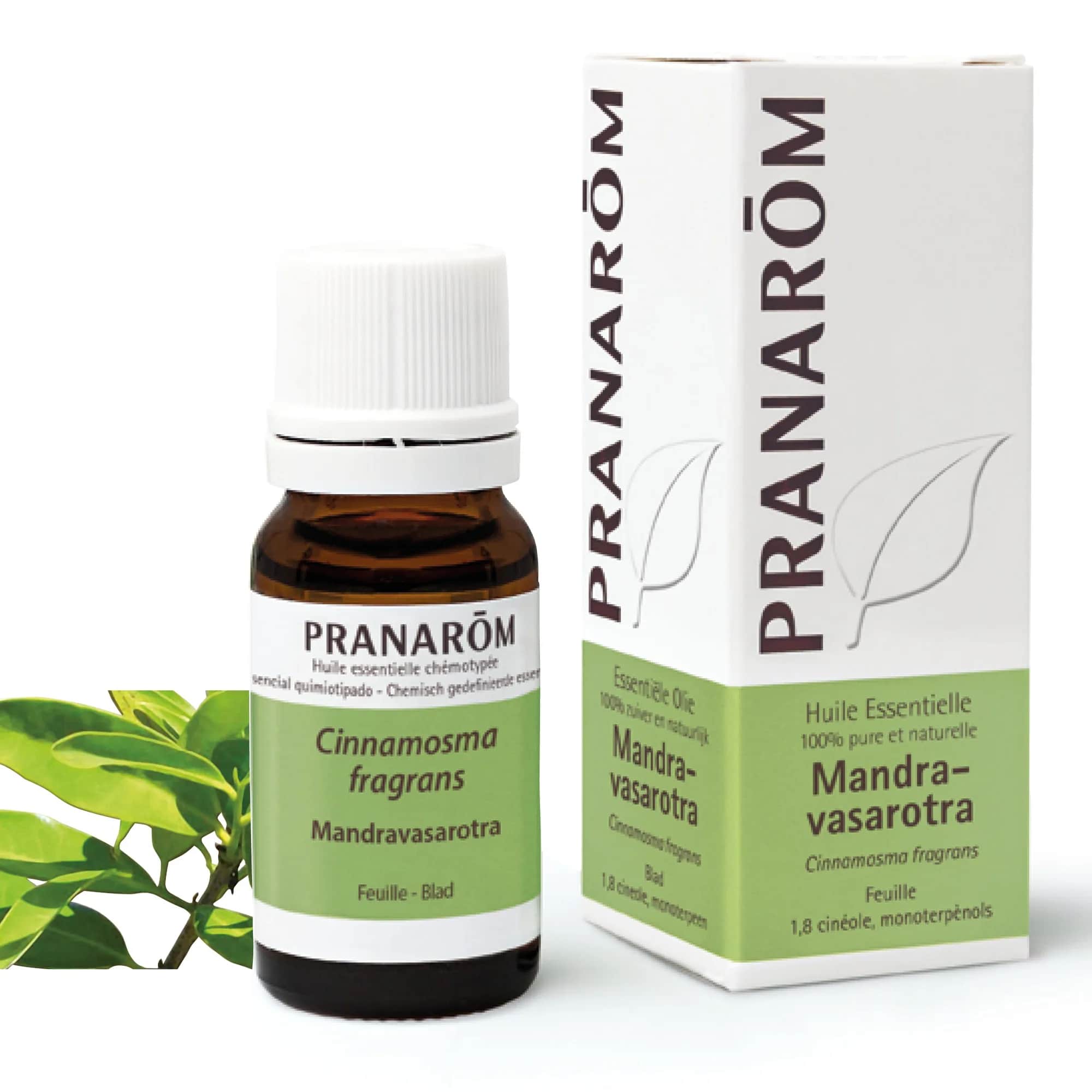 HE Mandravasarotra Feuille 10ml