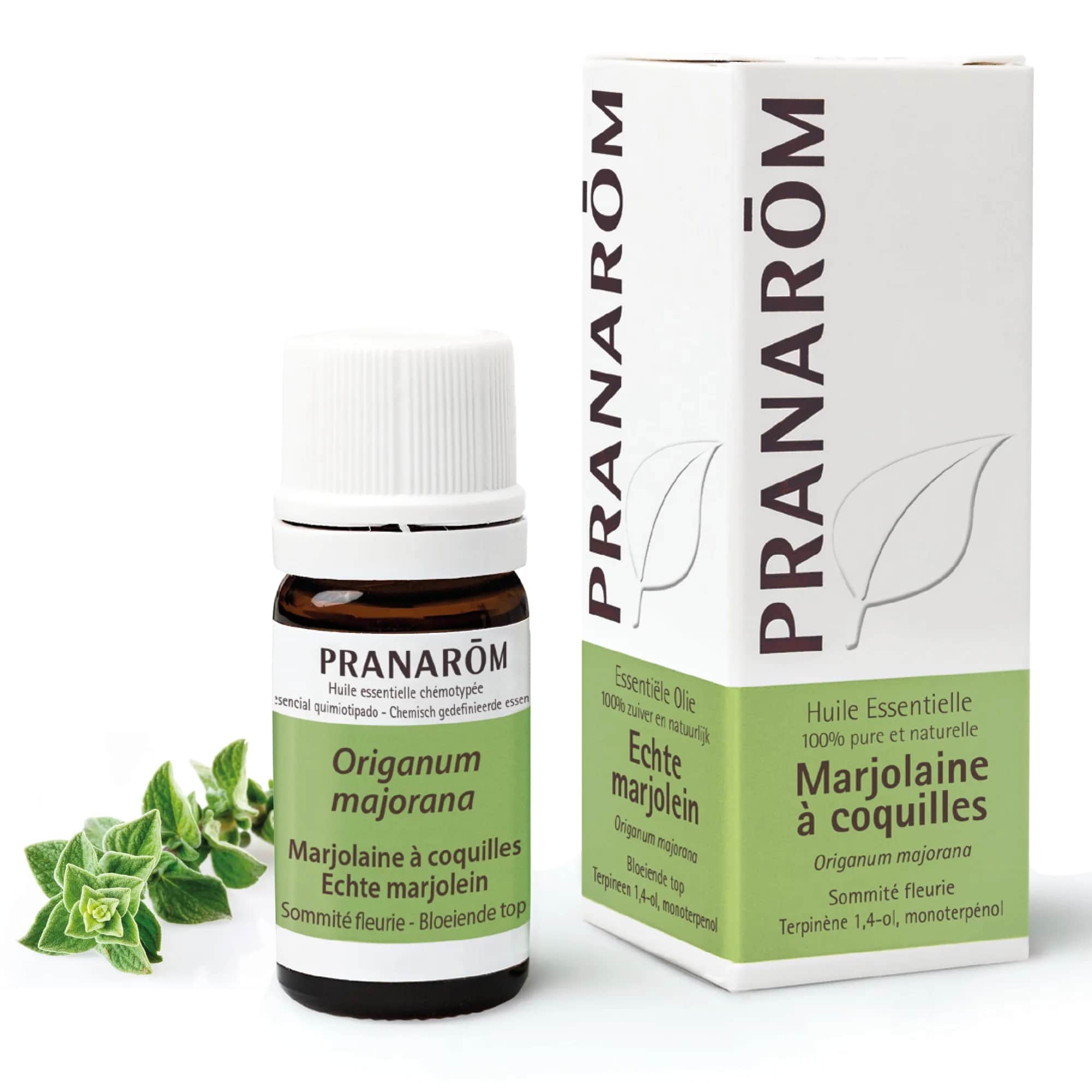 HE Marjolaine à Coquilles Sommité Fleurie 5ml