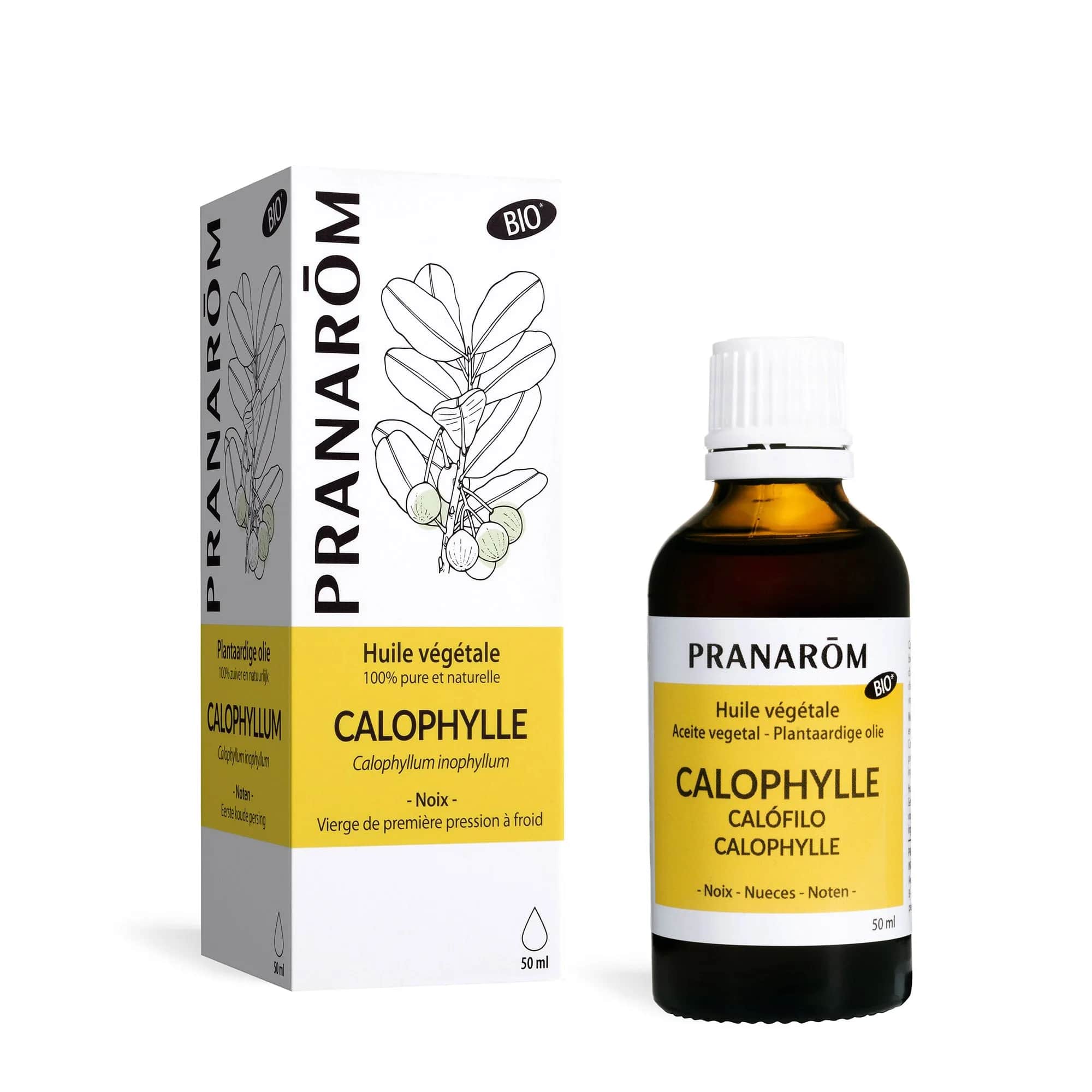 HV Calophylle BIO 50ml