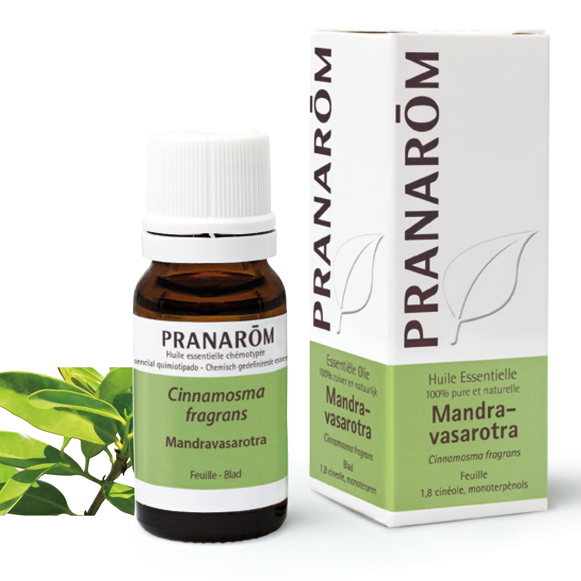 HE Mandravasarotra Feuille BIO 10ml